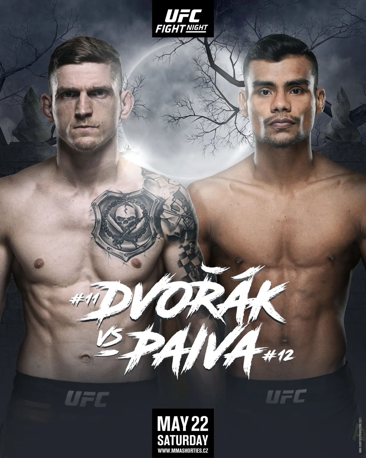 MMA Shorties - Dvořák versus Paiva artwork