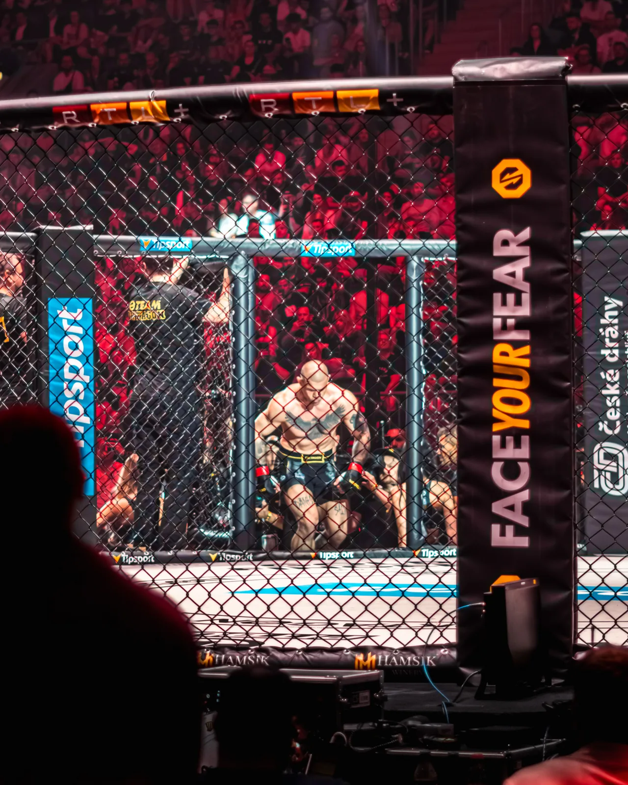 MMA event: dění v kleci